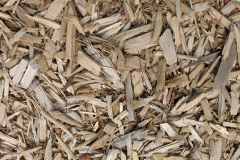 biomass boilers Boarhunt