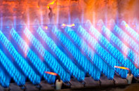 Boarhunt gas fired boilers